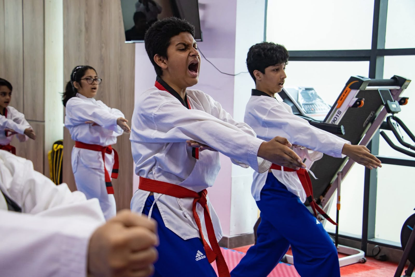 Origin of Banani Taekwondo Club